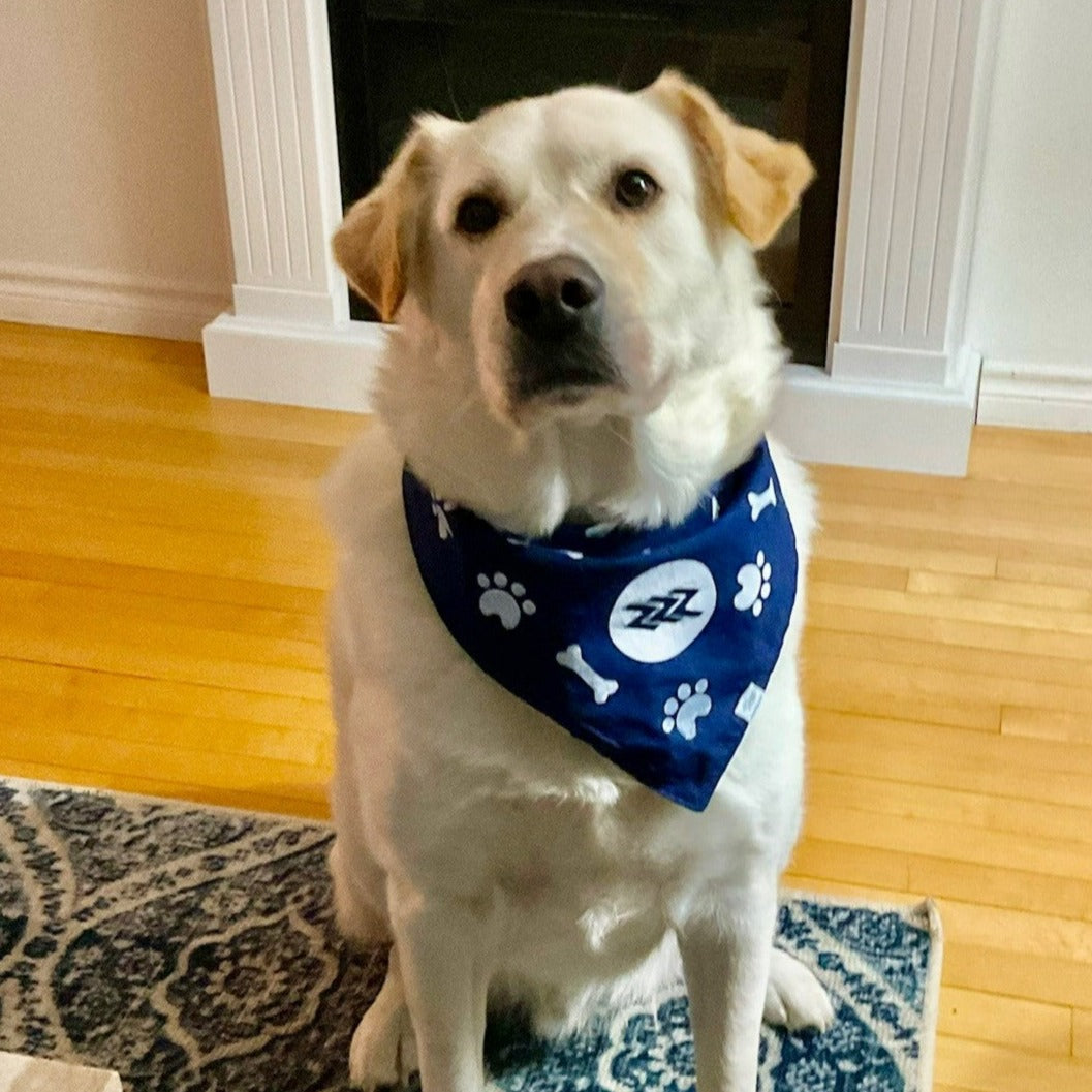 Pet Bandanas