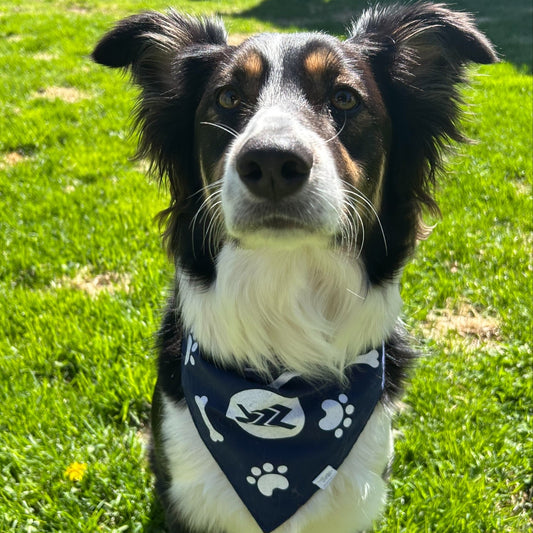 Pet Bandanas